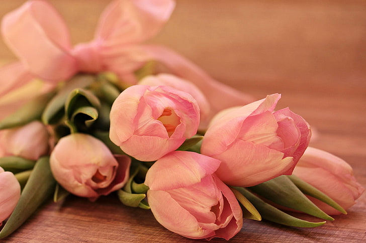background, beauty, bouquet, bow pink, breeding tulip, close, concerns, early bloomer, flora, floral greeting, flowers, frhlingsanfang, greeting, greeting card, loop, loop tape, lying, lying tulips, map, mothers da, HD wallpaper