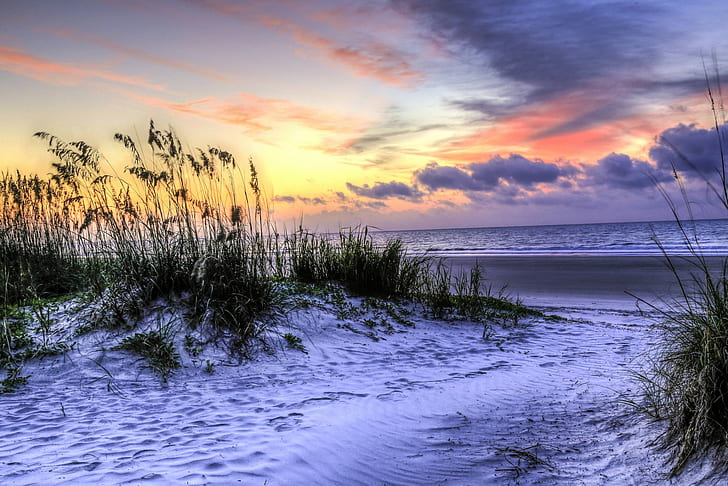 ساوث كارولينا ، الشاطئ، خلفية HD