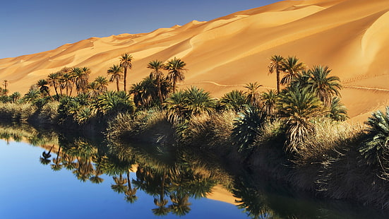 пясък, небе, вода, палми, пустиня, оазис, HD тапет HD wallpaper
