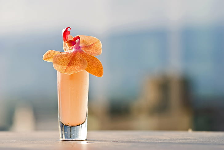 фокусирана снимка на напълно напълнена чаша за пиене с цвете орхидея, лято, слънце, снимка, пиене, чаша, цвете орхидея, напитка, коктейл, лято, цвете орхидея, барманство, рецепта, елегантен, свежест, сок, плодове, освежаване, HD тапет
