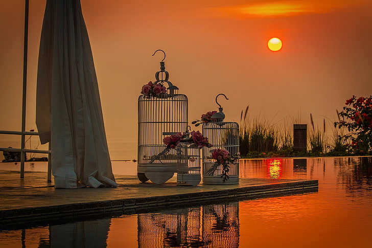 zwei weiße Vogelkäfig, Hochzeit, Zelle, Liebe, Sonnenuntergang, Schwimmbad, Blumensträuße, HD-Hintergrundbild