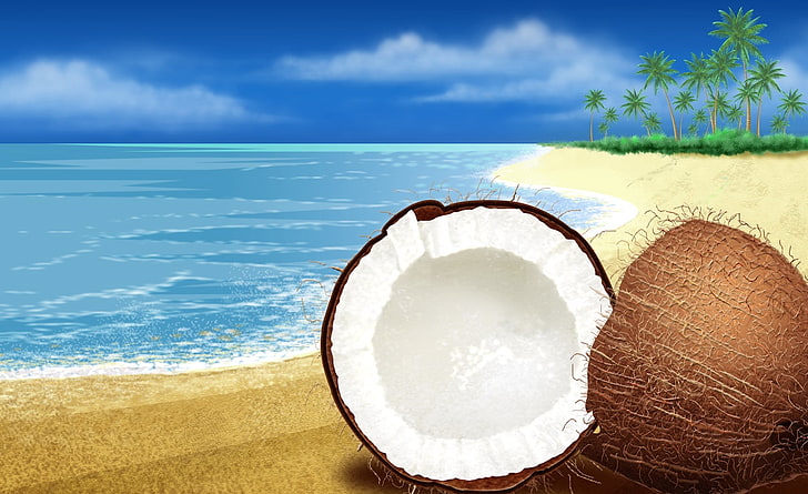 Exotic Coconut On The Beach, coconut fruit, Aero, Vector Art, Exotic, Coconut, Beach, HD wallpaper