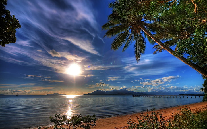 foto del océano, playa, palmeras, naturaleza, muelle, cielo, Fondo de pantalla HD