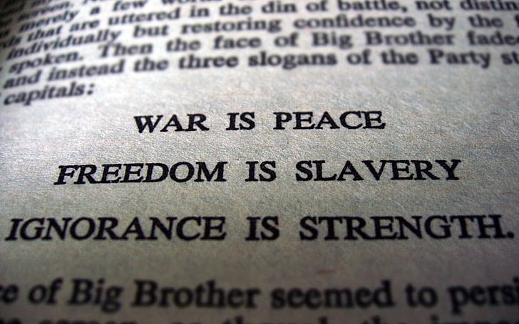white printer paper, quote, closeup, Book quotes, George Orwell, 1984, big brother, literature, books, HD wallpaper