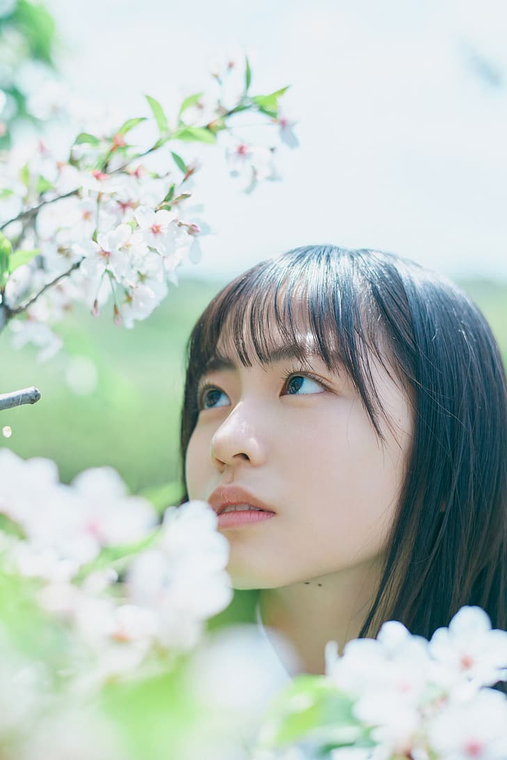 Shogenji Yoko, Hinatazaka46, cherry blossom, women, Japanese, HD wallpaper