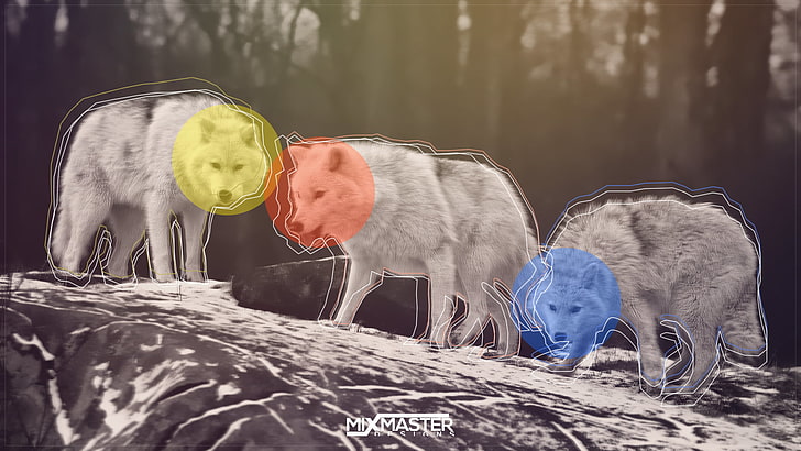 wolf, hund, schnee, rote, blaue, gelbe, digitale kunst, tiere, HD-Hintergrundbild