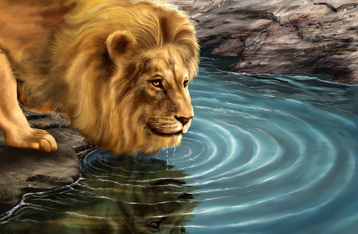 lion digital wallpaper, predator, picture, Leo, drink, HD wallpaper