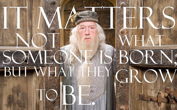 Harry Potter, Harry Potter and the Order of the Phoenix, Albus Dumbledore, Michael Gambon, Quote, HD wallpaper