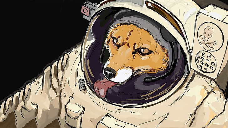astronaut fox illustration, space, fox, starfox, HD wallpaper