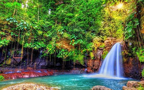 природа, пейзаж, водопад, гора, слънчеви лъчи, храсти, цветни, дървета, тропически, Гваделупа, остров, Карибите, HD тапет HD wallpaper