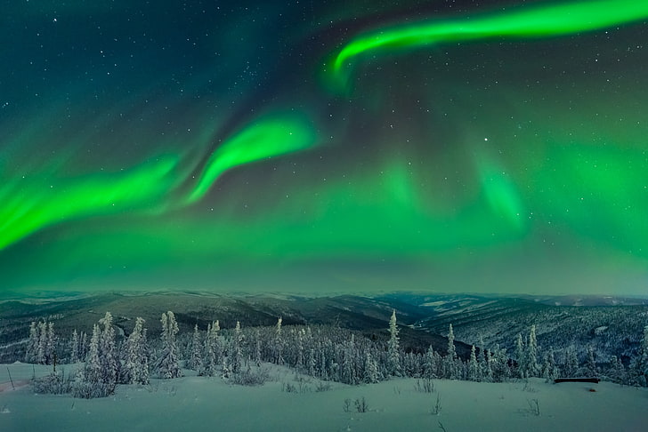 Aurora Borealis, trees, landscape, snow, aurorae, HD wallpaper