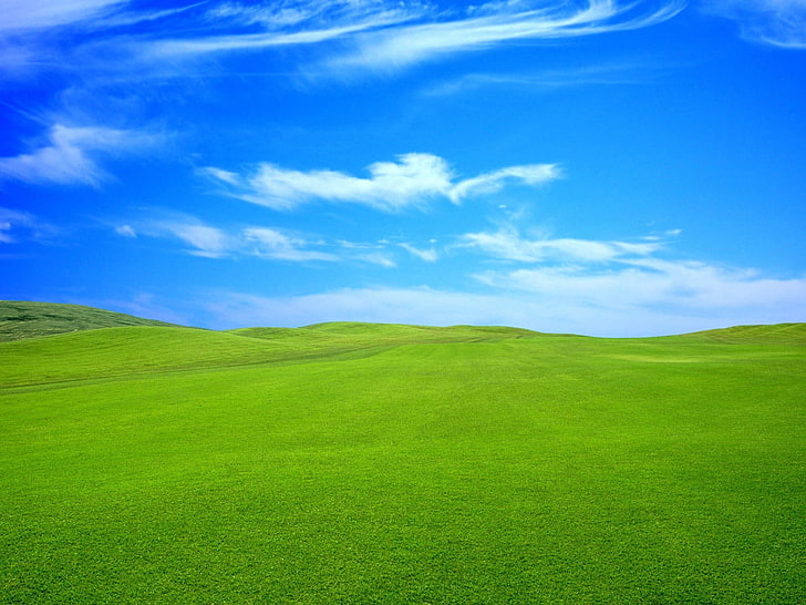 gräs bakgrund, HD tapet