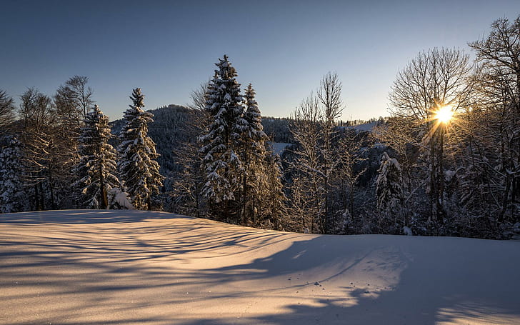 Matahari terbit di hutan, salju putih dengan pohon, alam, 1920x1200, salju, musim dingin, pohon, hutan, gunung, matahari terbit, Wallpaper HD