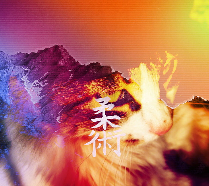 cat, mountains, Japan, vaporwave, HD wallpaper