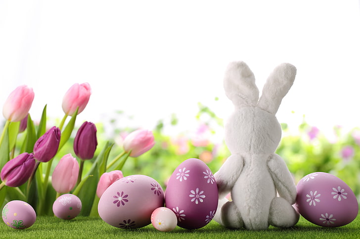 flowers, eggs, spring, rabbit, Easter, tulips, decoration, Happy, HD wallpaper