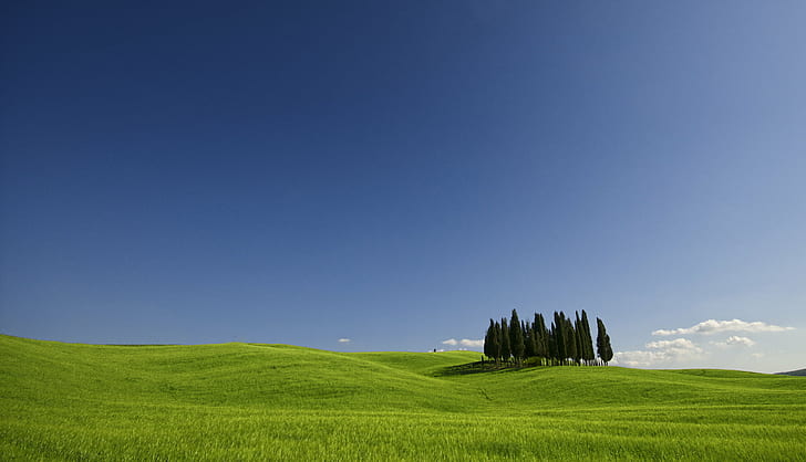 pine trees planted in middle of grass field during daytimre, val d'orcia, val d'orcia, Val d'Orcia, Monument, pine trees, planted, middle, grass, field, boschetto, dei, valdorcia, tuscany, d300, campagna, best, nature, rural Scene, agriculture, blue, sky, landscape, summer, meadow, outdoors, hill, farm, tree, green Color, scenics, land, non-Urban Scene, landscaped, HD wallpaper