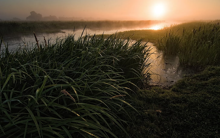 ธรรมชาติภูมิทัศน์หญ้าพระอาทิตย์ตกแม่น้ำพืชแสงแดดน้ำ, วอลล์เปเปอร์ HD