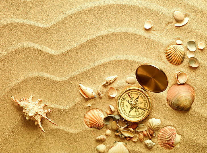 Compass, Shells, Sand, HD wallpaper