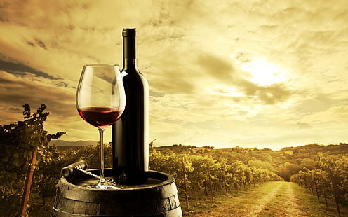 زجاجة النبيذ الأحمر والزجاج والنبيذ والمناظر الطبيعية، خلفية HD HD wallpaper