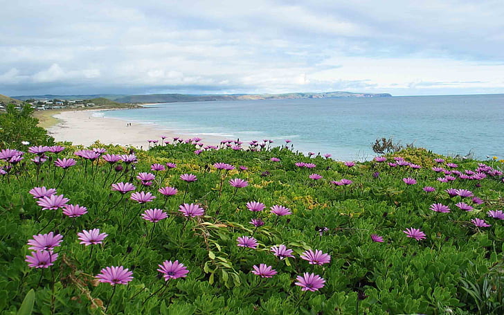Carrickalinga Beach Fleurieu Australia Selatan Australia Latar Belakang Desktop 582376, Wallpaper HD