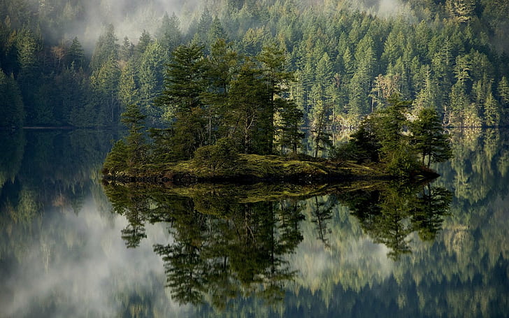 isla, lago, naturaleza, pinos, Fondo de pantalla HD