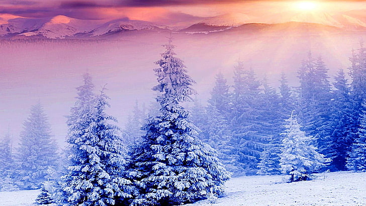 зима, солнечный луч, солнце, снежная, лес, HD обои