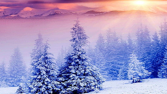 hiver, rayon de soleil, soleil, neige, forêt, Fond d'écran HD HD wallpaper