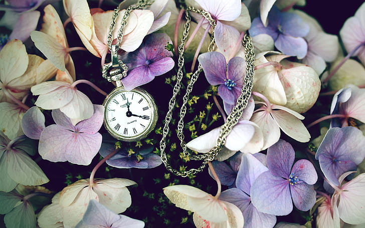 Fiori con un orologio, orologio da tasca in oro, fiori, orologio, Sfondo HD
