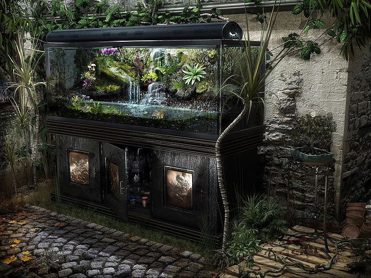 rectangular black framed clear glass fish tank, realism, aquarium, plants, HD wallpaper