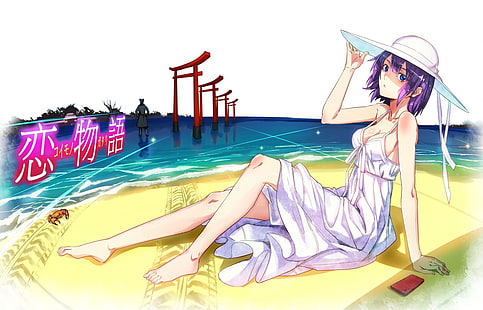 Monogatari Series, Senjougahara Hitagi, anime, anime girls, HD wallpaper HD wallpaper
