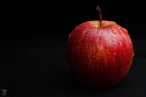 red apple, apple, Juicy, Fresh, red apple, nikon, nature, shrek, fruit, food, freshness, apple - Fruit, ripe, red, organic, healthy Eating, HD wallpaper HD wallpaper