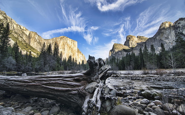 zielone rośliny liściaste, natura, krajobraz, góry, drzewa, las, chmury, gałąź, kamienie, Park Narodowy Yosemite, USA, martwe drzewa, Tapety HD