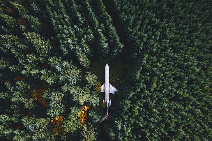 white plane, nature, landscape, airplane, wreck, forest, trees, drone, aerial view, Oregon, Hillsboro, HD wallpaper