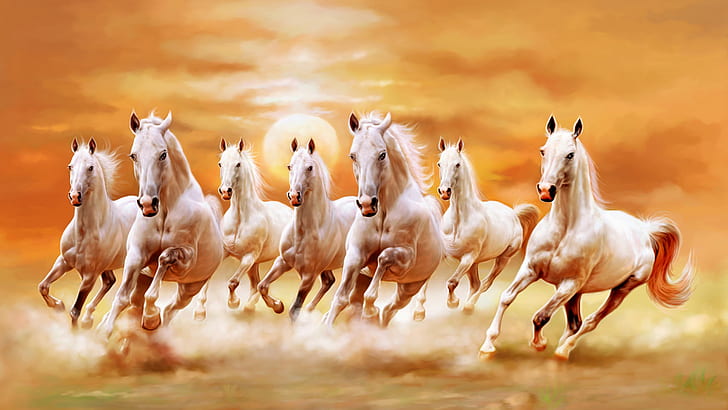 Cavalos Brancos Bonitos Galopando Céu Pôr Sol Laranja Ultra Hd, HD papel de parede