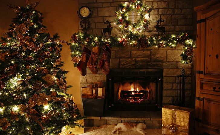 дърво, Коледа, празник, камина, венец, котка, подаръци, огън, дърво, Коледа, празник, камина, венец, подаръци, огън, HD тапет