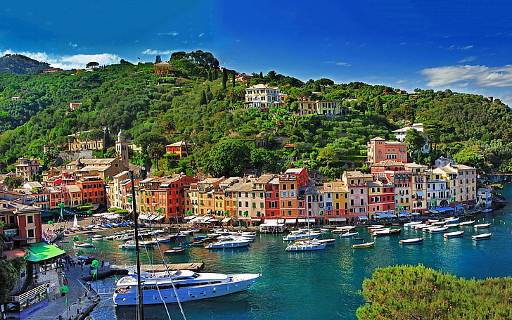 stad, stadsbild, landskap, hav, båt, byggnad, skog, vik, Portofino, Italien, färgglada, HD tapet