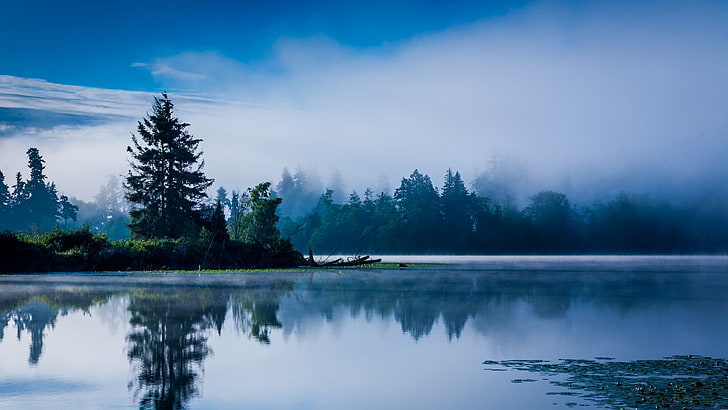 green leafed tree, lake, morning, mist, blue, forest, water, reflection, Washington state, nature, landscape, trees, HD wallpaper