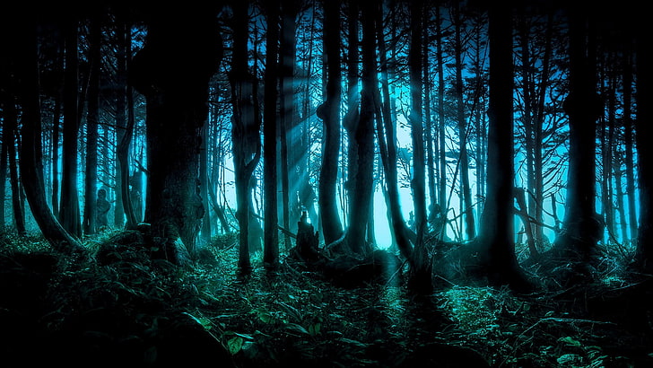 black trees, forest, night, fantasy art, digital art, HD wallpaper