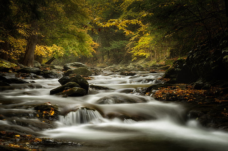 musim gugur, hutan, sungai, aliran, batu, Massachusetts, Bash Bish Brook, Wallpaper HD