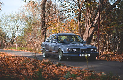 grå BMW E32 coupe, höst, tuning, BMW, drivenheter, classic, stance, e34, oldscool, HD tapet HD wallpaper