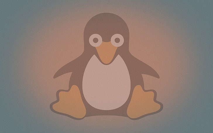Linux Tux ペンギン ロゴ Hdデスクトップの壁紙 Wallpaperbetter