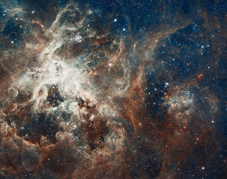 galaxy illustration, nebula, constellation, Gold Fish, Tarantula, NGC 2070, HD wallpaper
