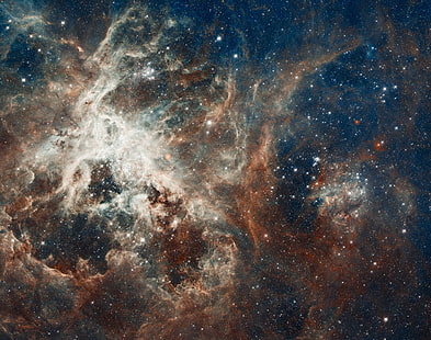 иллюстрация галактики, туманность, созвездие, золотая рыбка, тарантул, NGC 2070, HD обои HD wallpaper