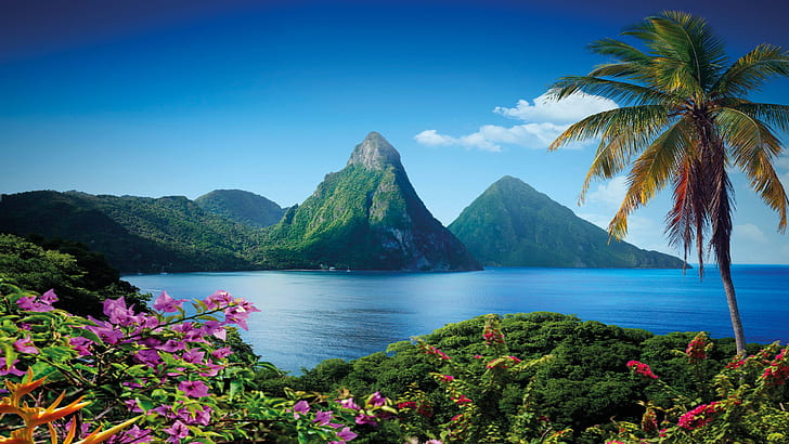 خلفية جبل جروس بيتون في جزيرة سانت لوسيا الكاريبية HD 2560 × 1440، خلفية HD