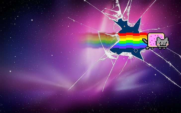 rainbow pet digital wallpaper, furry, Nyan Cat, broken glass, HD wallpaper