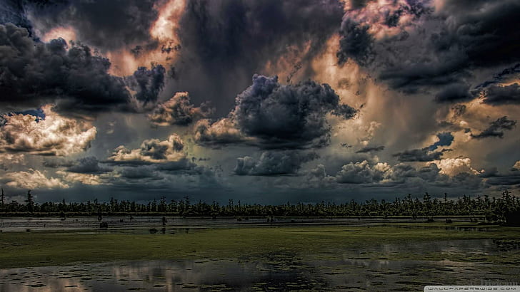 Mean Skies Hdr, trees, swamp, dark clouds, 3d and abstract, HD wallpaper