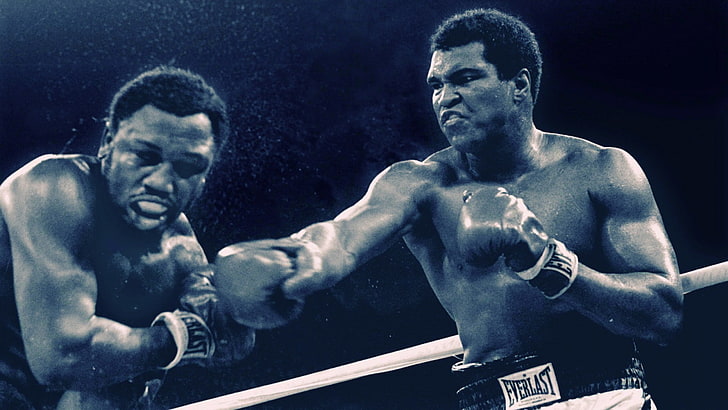 monocromático, Muhammad Ali, boxe, homens, esporte, HD papel de parede
