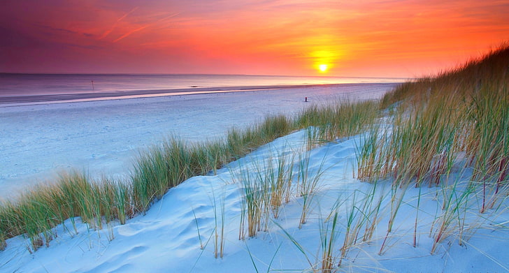 природа, пейзаж, залез, Холандия, плаж, пясък, дюна, море, лилаво, трева, жълто, HD тапет