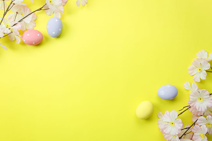 flowers, background, eggs, spring, Easter, blossom, decoration, Happy, tender, HD wallpaper