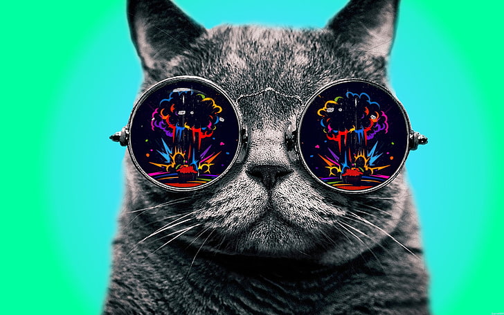 แมวสีเทา, มีสีสัน, แว่นตา, แมว, ยาเสพติด, Morpheus, ศิลปะดิจิตอล, พื้นหลังที่เรียบง่าย, สัตว์, การระเบิด, วอลล์เปเปอร์ HD